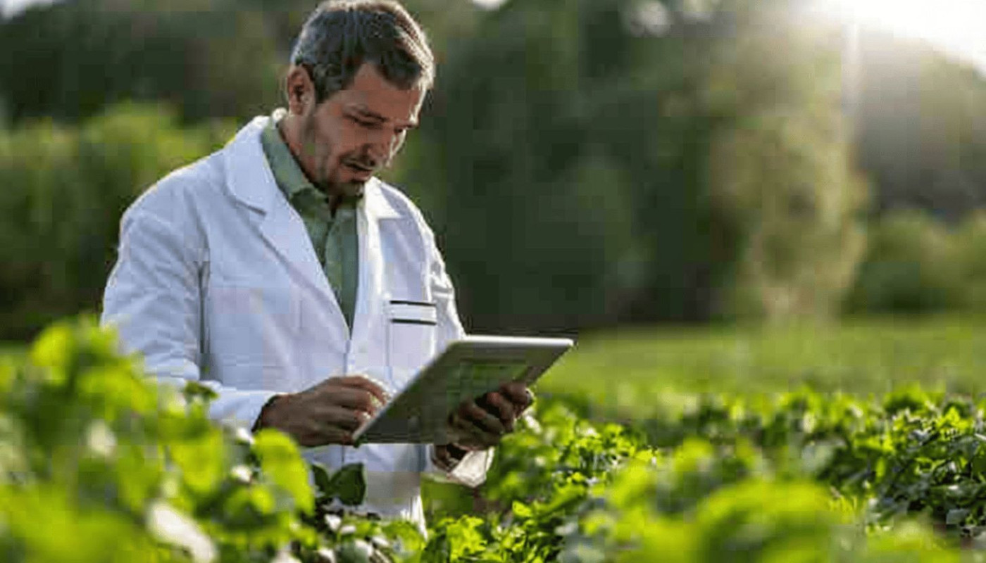 Exploring The Role Of Software In Streamlining Agronomic Field Trials